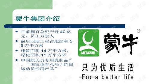 蒙牛广告策划案商业计划书精品模板.ppt